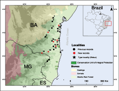 E. bilineatus ocorre apenas no sul da Bahia