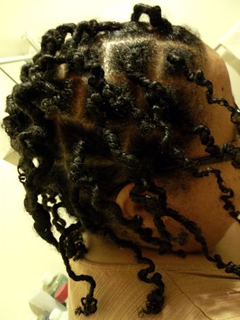Newly twisted dreadlocks immediately after being unwound from Bantu knots; the dreadlocks later uncoil and may thicken as knotting progresses.