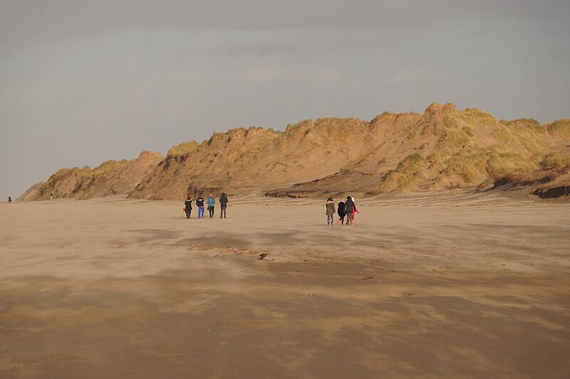 File:Dunes north of Victoria Road car park, Freshfield - geograph.org.uk - 4769629.jpg