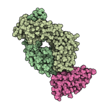 Durvalumabi PD-L1 5X8M.pdb.png