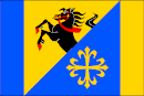 Vlag van Dzbel