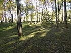 Effigy Mounds Айова Сни Мэджилл.JPG