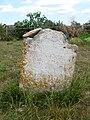 Eighteenth-century gravestone outside the Church of Saint Thomas the Apostle in Harty on the Isle of Sheppey. [225]