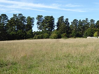 <span class="mw-page-title-main">Elm Road Field, Thetford</span>