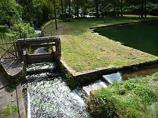 Mündungsstelle des Möllbachs (rechts) in den Speyerbach