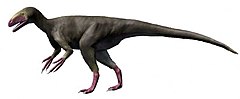 Eotyrannus 2 NT.jpg