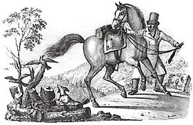 Vermutliches Erlenbachpferd auf einer Lithographie von 1827