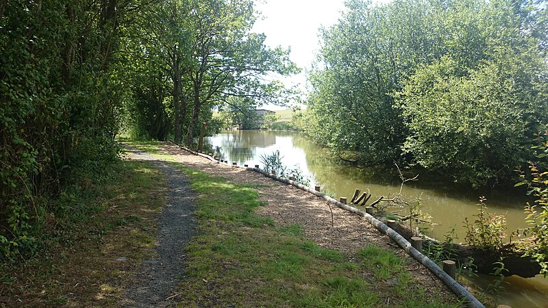 File:Etang de la Godinière - Juin 2014 - panoramio (1).jpg