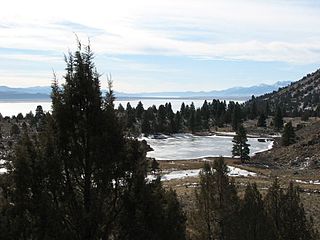 <span class="mw-page-title-main">Alkali Lakes (California)</span> Three Lakes in the states of California and Nevada, United States