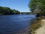 Fanning Springs Park Suwannee03.jpg