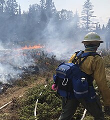 Wildfire fighting, Isle Royale, 2021 Firefighter on Fire Line (d08f0a9a-54fc-4979-8a34-d1625b33e72a) (cropped).jpg