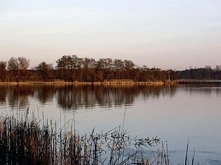 <span class="mw-page-title-main">Fischerinsel (Tollensesee)</span>