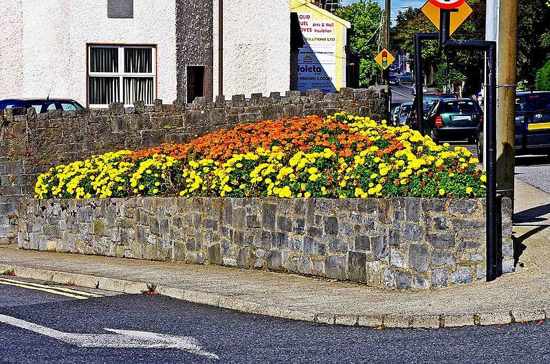 File:Flowerbed at junction of Maudlin Street and Dublin Road, Kilkenny - geograph.org.uk - 2588573.jpg