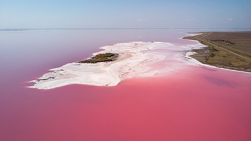 Flying_above_the_Pink_planet