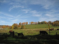 View of Farm in Richmond