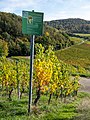 * Nomination Chardonnay grape variety information board --Ermell 10:32, 7 January 2023 (UTC) * Promotion  Support Good quality. --Terragio67 10:37, 7 January 2023 (UTC)