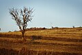 Përlepnica countryside Gjilan