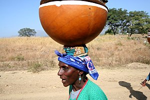 Fulani: Harshe, Tarihi, Arziki