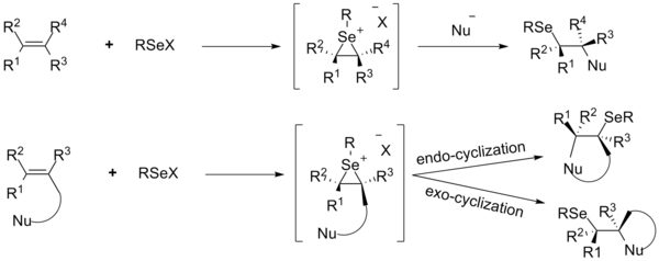 Funkciigon da olefin'oj uzantaj elektrofilan organoseleniospecion