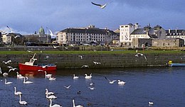 Galway - Vedere