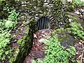 Small spring catchment in the White Jura Limestone (Malm) near Meßstetten, Upper Danube Nature Park, Germany.