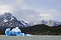 * Nomination Gray Glacier, Torres del Paine National Park, Chile --Poco a poco 18:37, 27 March 2015 (UTC) * Promotion Good quality. --Óðinn 18:40, 27 March 2015 (UTC)