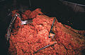 Ground beef in an industrial grinder
