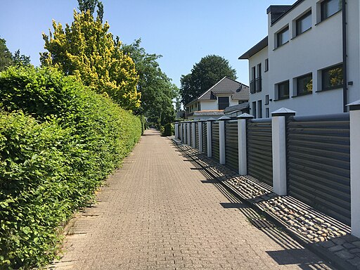 Höfenkamp