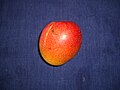 Thumbnail for File:Haden mango.jpg