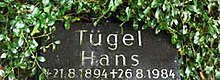 Die Grabstätte von Hans Tügel auf dem Friedhof Ohlsdorf.