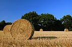 Harvest Hay Bales in SH.jpg