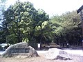 Thumbnail for Hikarigaoka Park