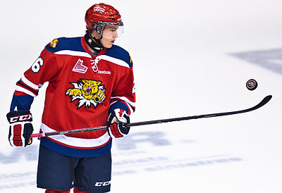 Moncton Wildcats