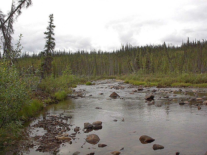 File:Hosford Creek Water Quality Testing, Yukon-Charley Rivers, 2003 2 (9a2d043f-f6b5-4a10-b3c5-c615ac1e4122).jpg