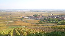 IMG Vignoble de Volnay. JPG