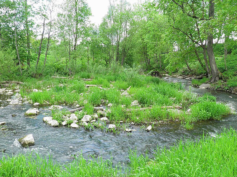 File:Ilūkste River at Šēdere - panoramio.jpg