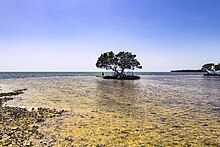 Indian Key Pass - Ten Thousand Islands