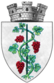 Vite pampinosa di verde, fruttata di rosso (stemma di Drăgășani, Romania, dal 1921 al 1930)