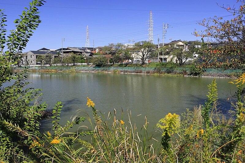 File:Jizo-ike Pond, Okehazama-Kita Midori Ward Nagoya 2020.jpg