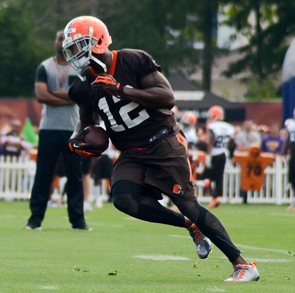 File:Josh Gordon 2014 Browns training camp (2).jpg