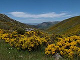 Sierra de Gredos