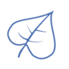 KOAL logo.png