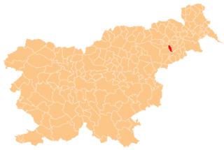 Municipality of Hajdina Municipality in Slovenia