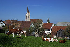 Kilchberg (Basileia-Campo)