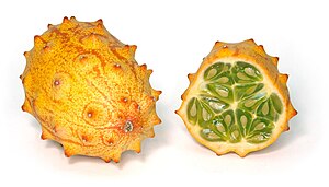 Kiwano 2009.jpg