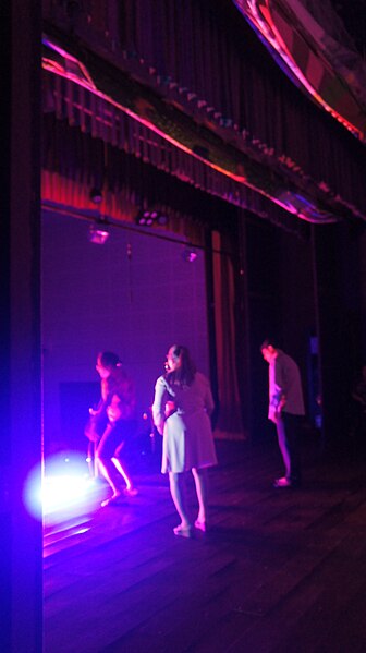 File:Konkani Tiatr -- Sammy Tavares' play at the Candolim (Dando) airconditioned hall June 2023. 24.jpg