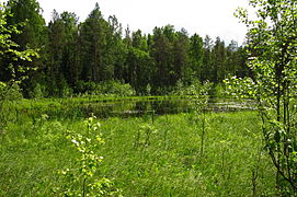 Punane järv Kurtna järvestikus Kurtna maastikukaitsealal