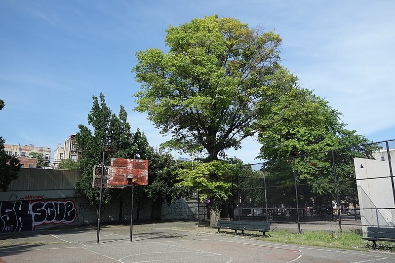 File:LaGuardia Playground td (2019-08-15) 23 - Basketball Courts.jpg