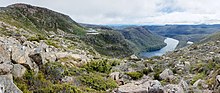 Typical alpine coniferous heath at the Tarn Shelf in Mt Field National Park, Tasmania, where Ozothamnus rodwayi is found. Lake Seal and Tarn Shelf Mt Field NP.jpg