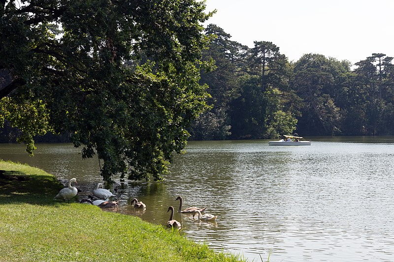 File:Laxenburg Schlossteich 2016-08-28 01.jpg